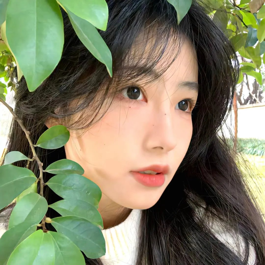 四季之春